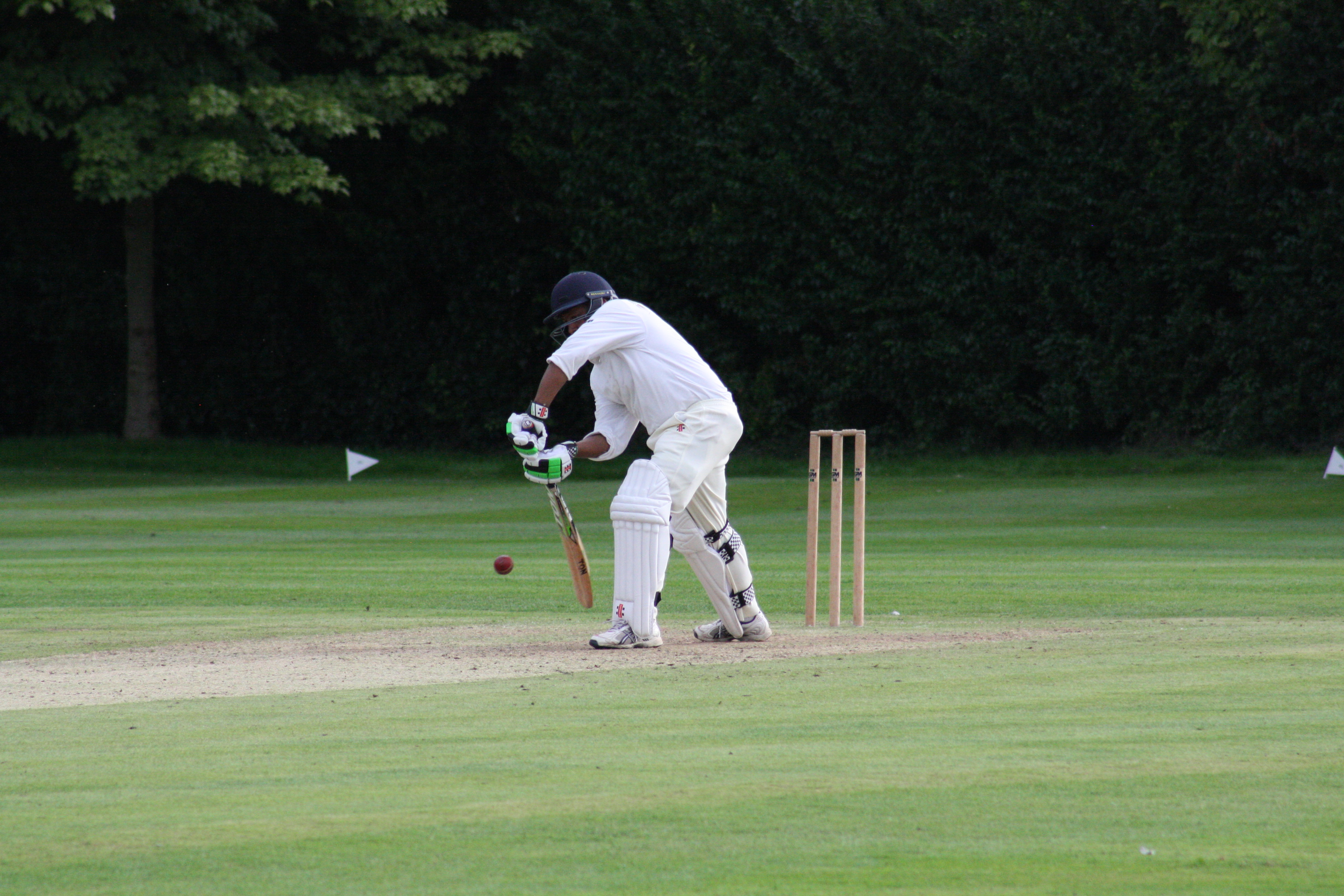Gallery Blue Star Cricket Club Gallery Blue Star Cricket Club